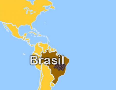 Die R&ouml;sterei Brasil Yellow Bourbon