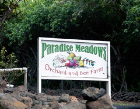 Die R&ouml;sterei Hawaii Kona Paradise Meadows coffee company