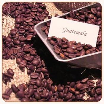 Rösterei Kaffeekultur Guatemala San Sebastian