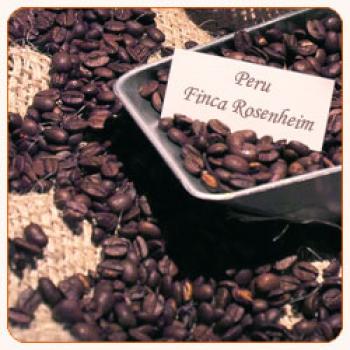 Rösterei Kaffeekultur Peru Finca Rosenheim